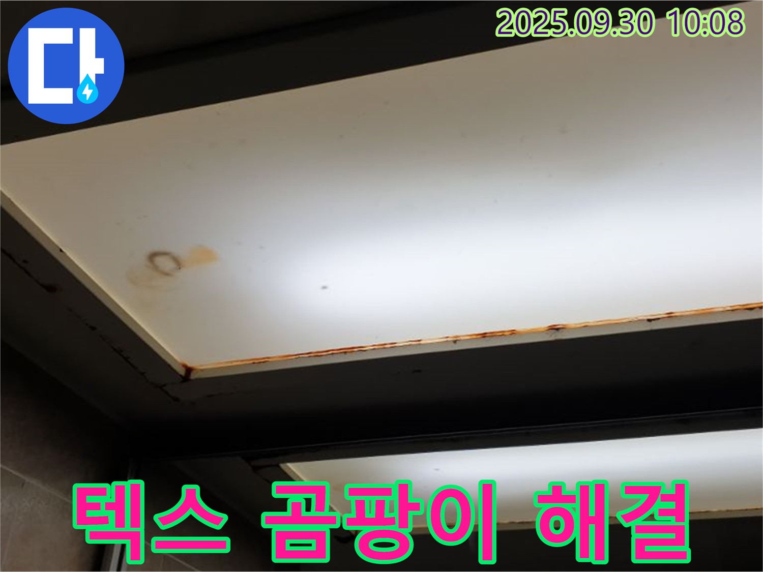 텍스 곰팡이 - 양주 석우리에서 누수탐지 전문가가 텍스에 곰팡이가 핀 것을 확인하고 누수 해결이 우선이라고 강조합니다.