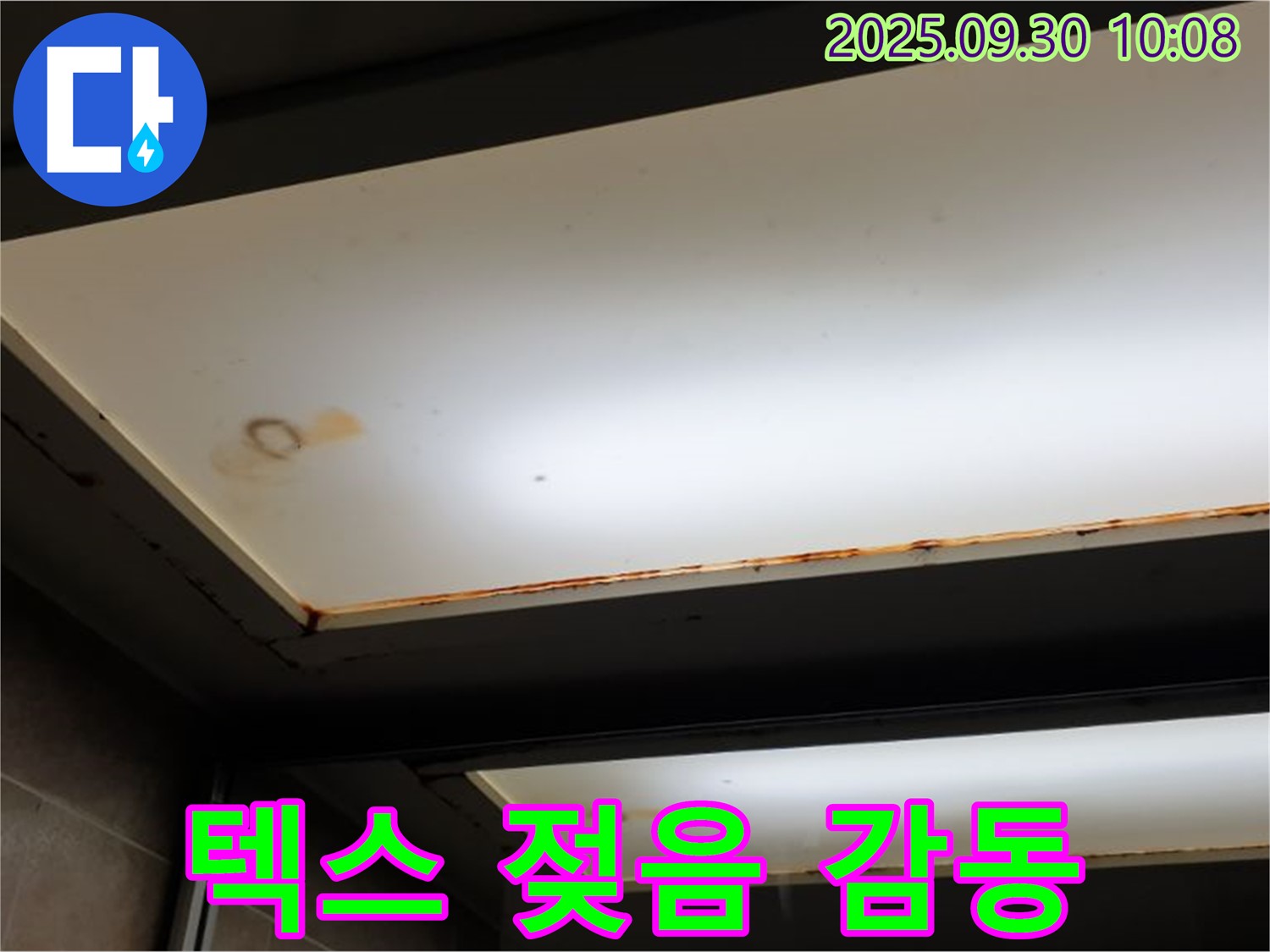 텍스 젖음 - 양주 석우리에서 누수탐지 전문가가 텍스 젖음을 확인하고 신속한 해결과 고객 감동 서비스를 약속합니다.