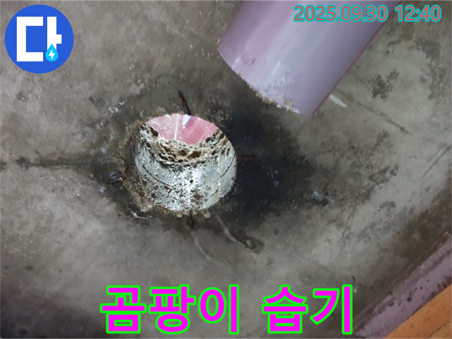 양주 덕도리 누수 - 배수구 주변의 곰팡이와 습기 문제 확인