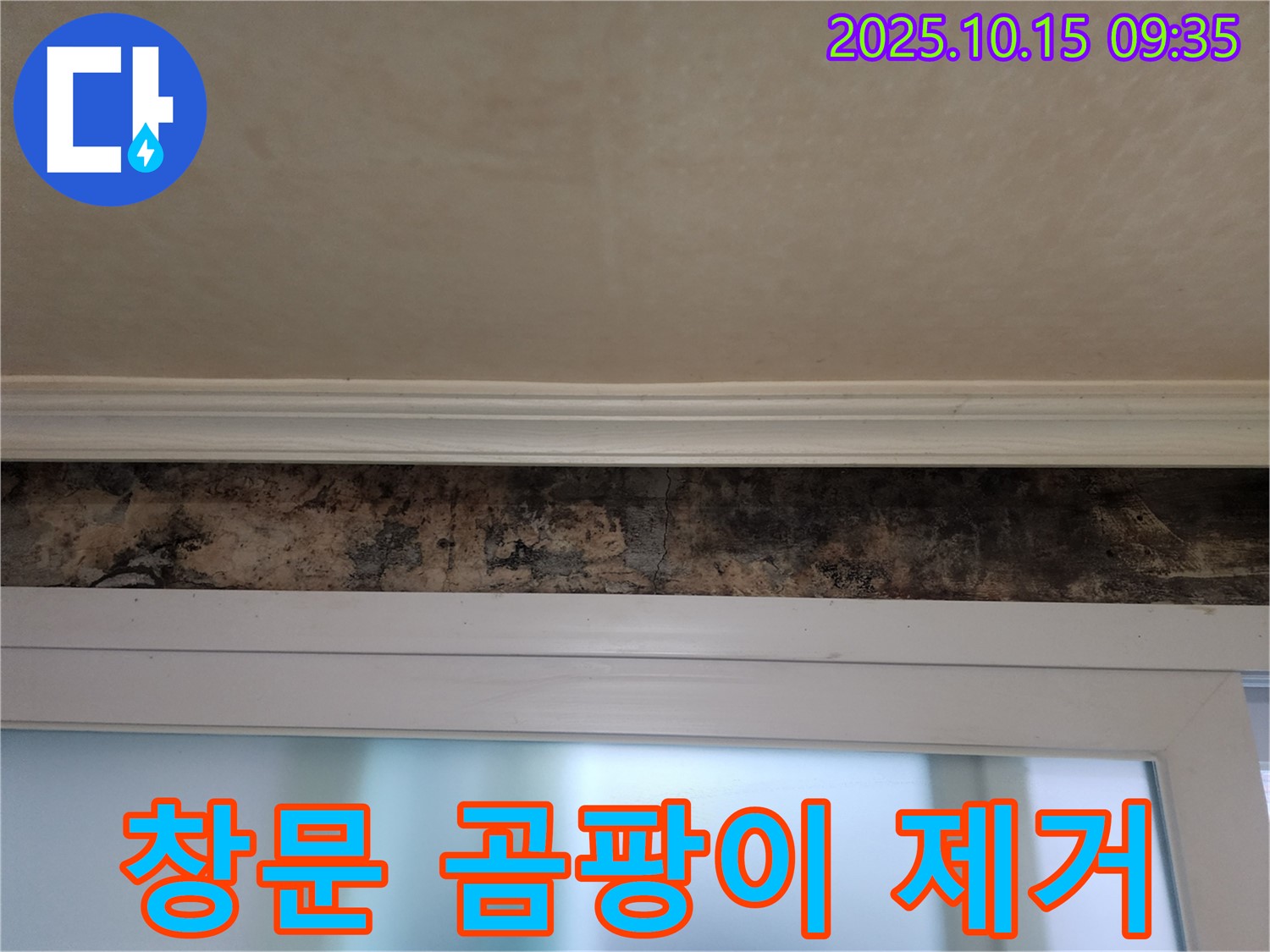 공릉동 누수 - 창문 곰팡이 완벽 제거 및 누수 해결 비법 공개