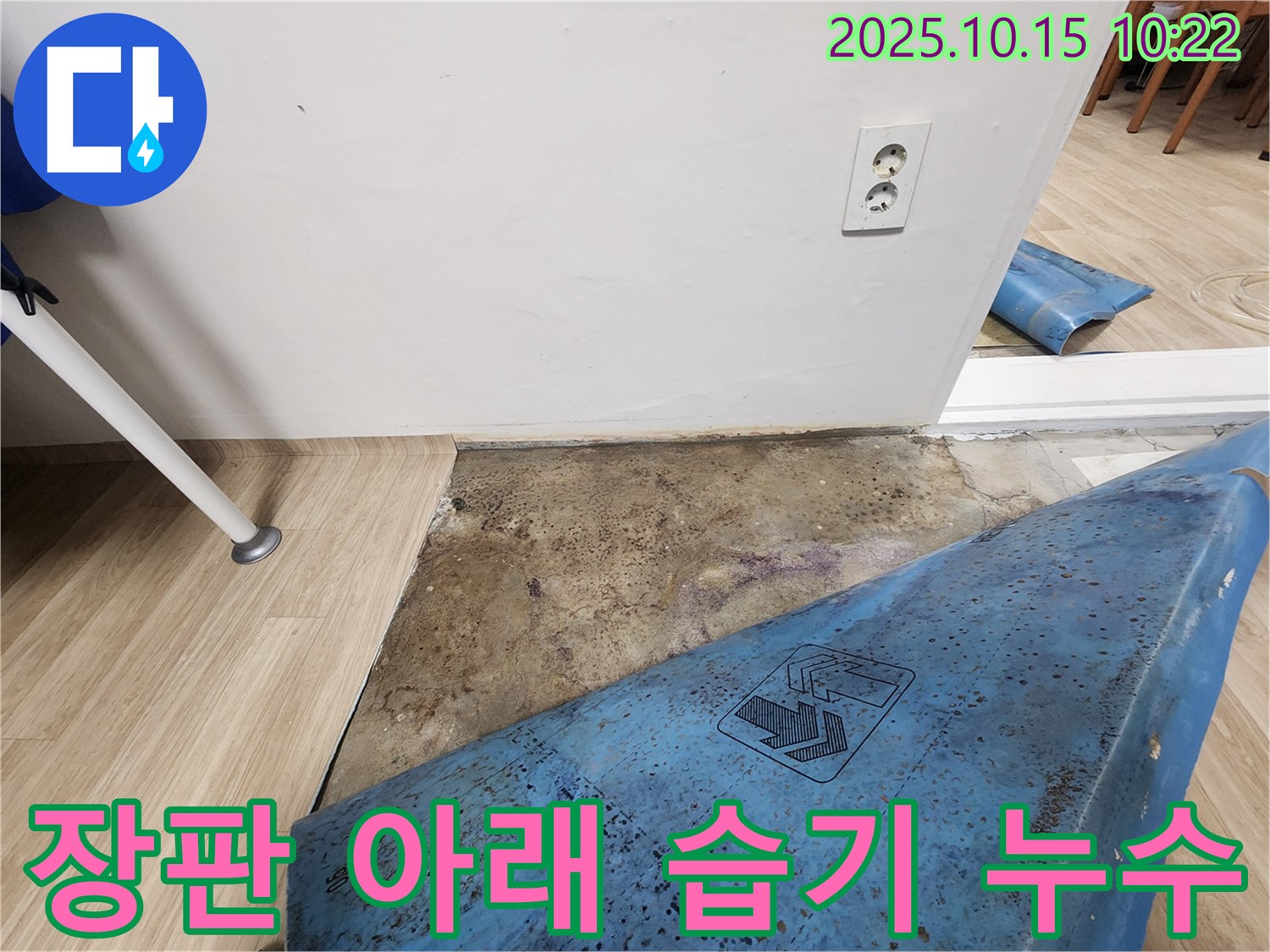 공릉동 누수 현장 - 장판 아래 습기 문제 해결을 위한 노원구 누수탐지