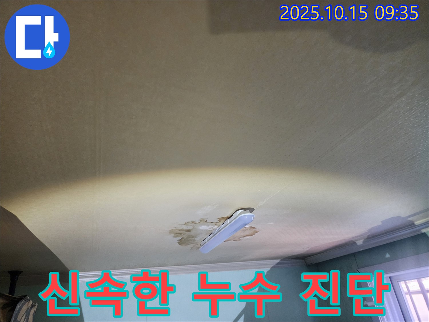 공릉동 동우빌라 천장 누수 - 신속한 진단과 문제 해결을 위한 긴급 투입