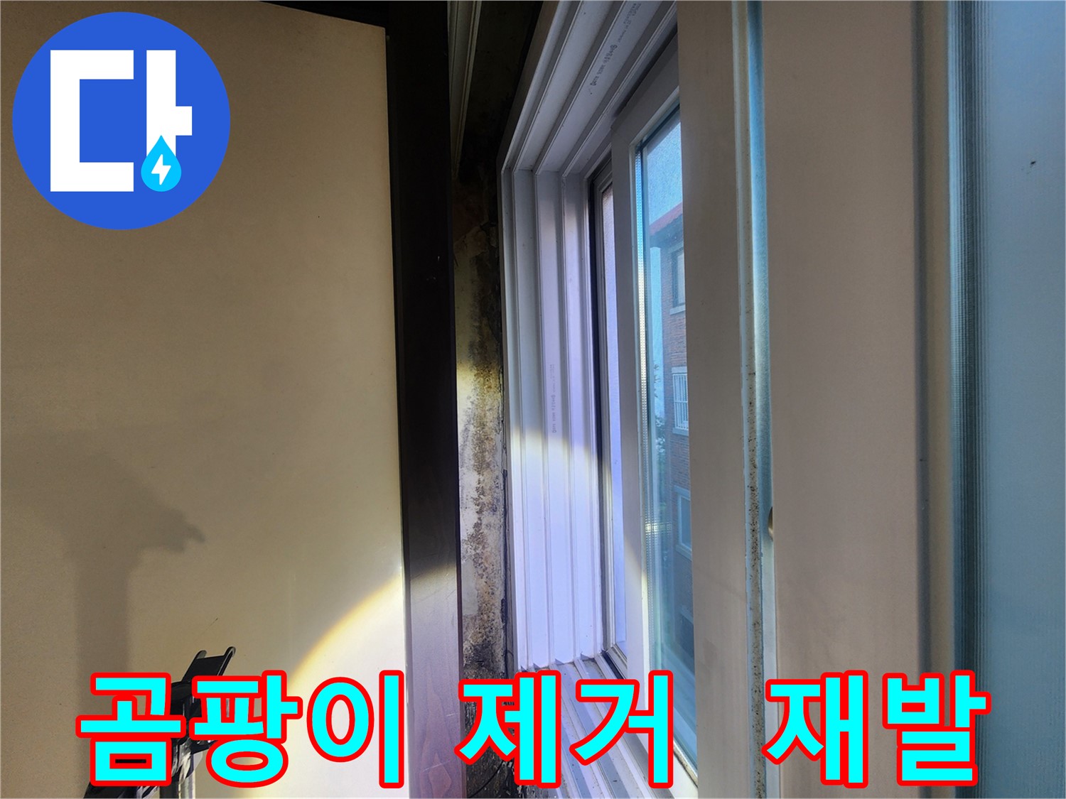 공릉동 창문 곰팡이 문제 - 건강 위협 및 재발 방지 중요