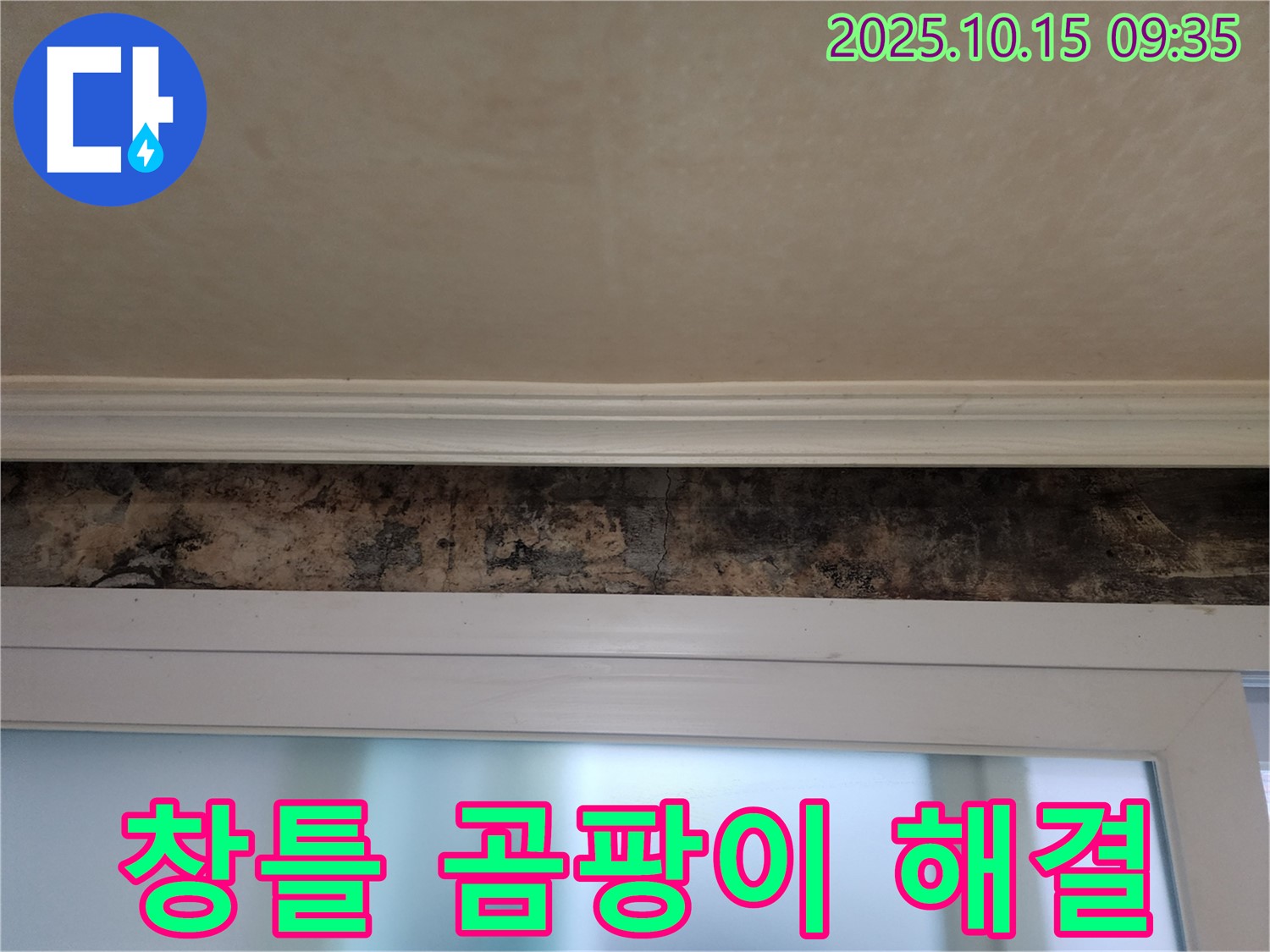 노원구 공릉동 - 창틀 곰팡이 완벽 해결 및 쾌적한 환경 조성