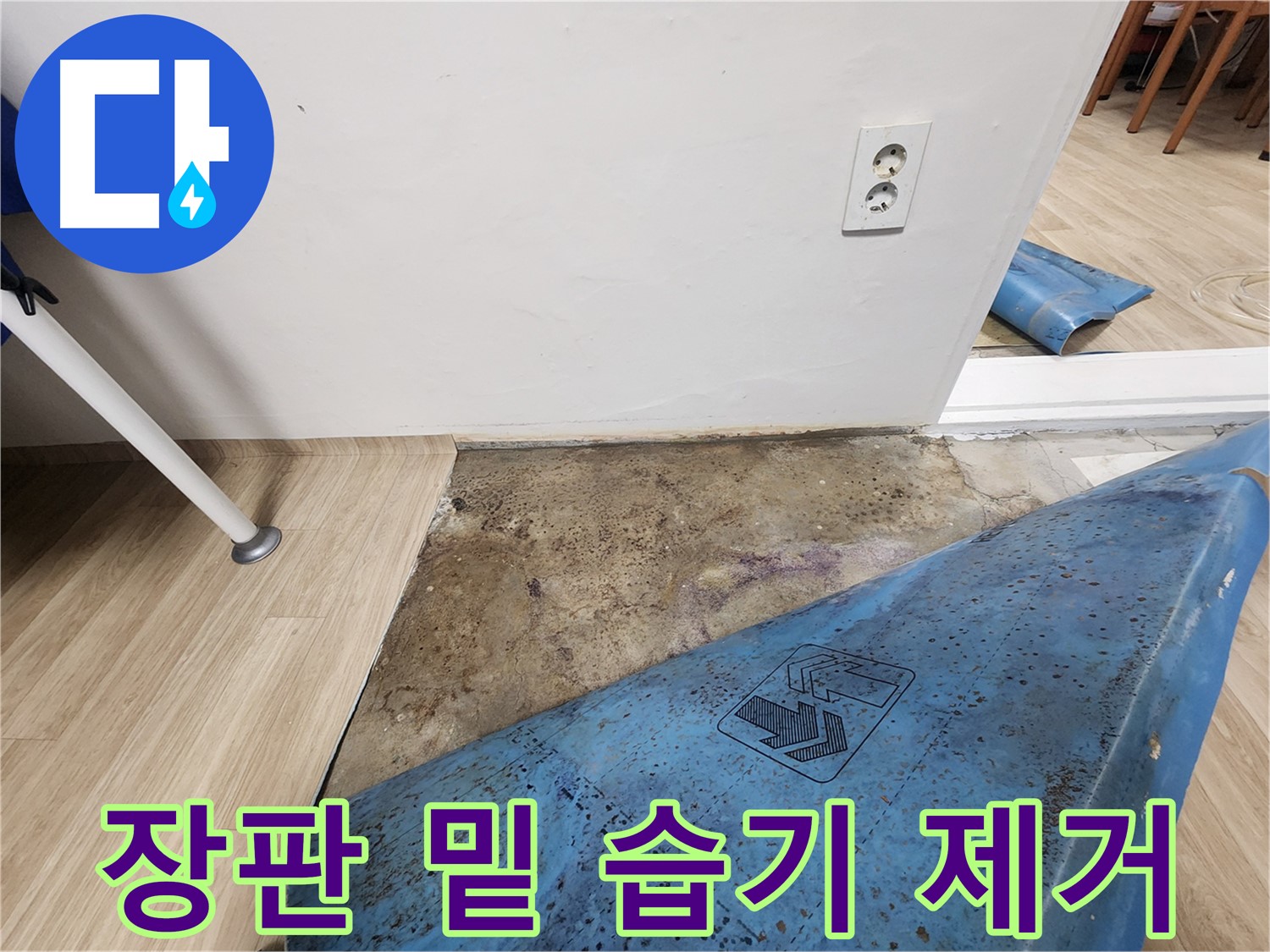 노원구 빌라 누수 - 장판 밑 습기 제거 작업 - 누수 원인 정밀 진단