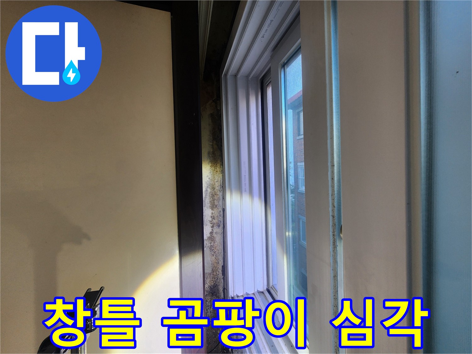 창틀 주변 곰팡이 심각 - 누수 원인 분석 및 해결 시급