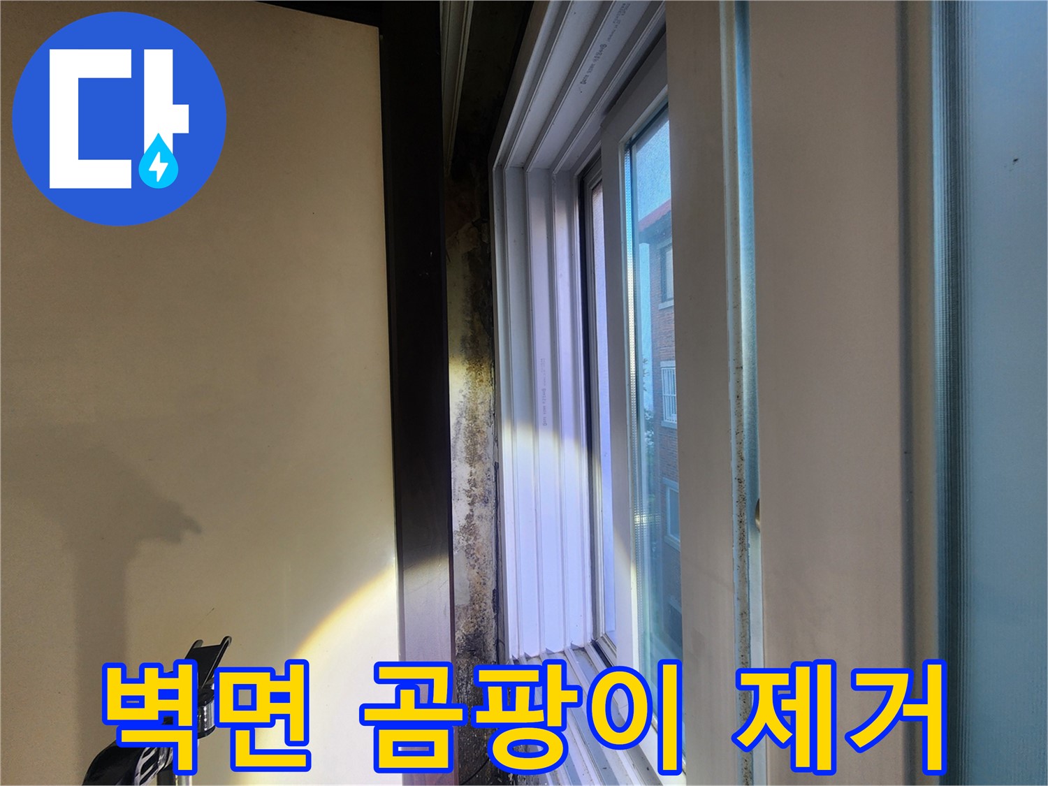 창틀 주변 벽면 곰팡이 - 곰팡이 제거 및 방수 시공 필요