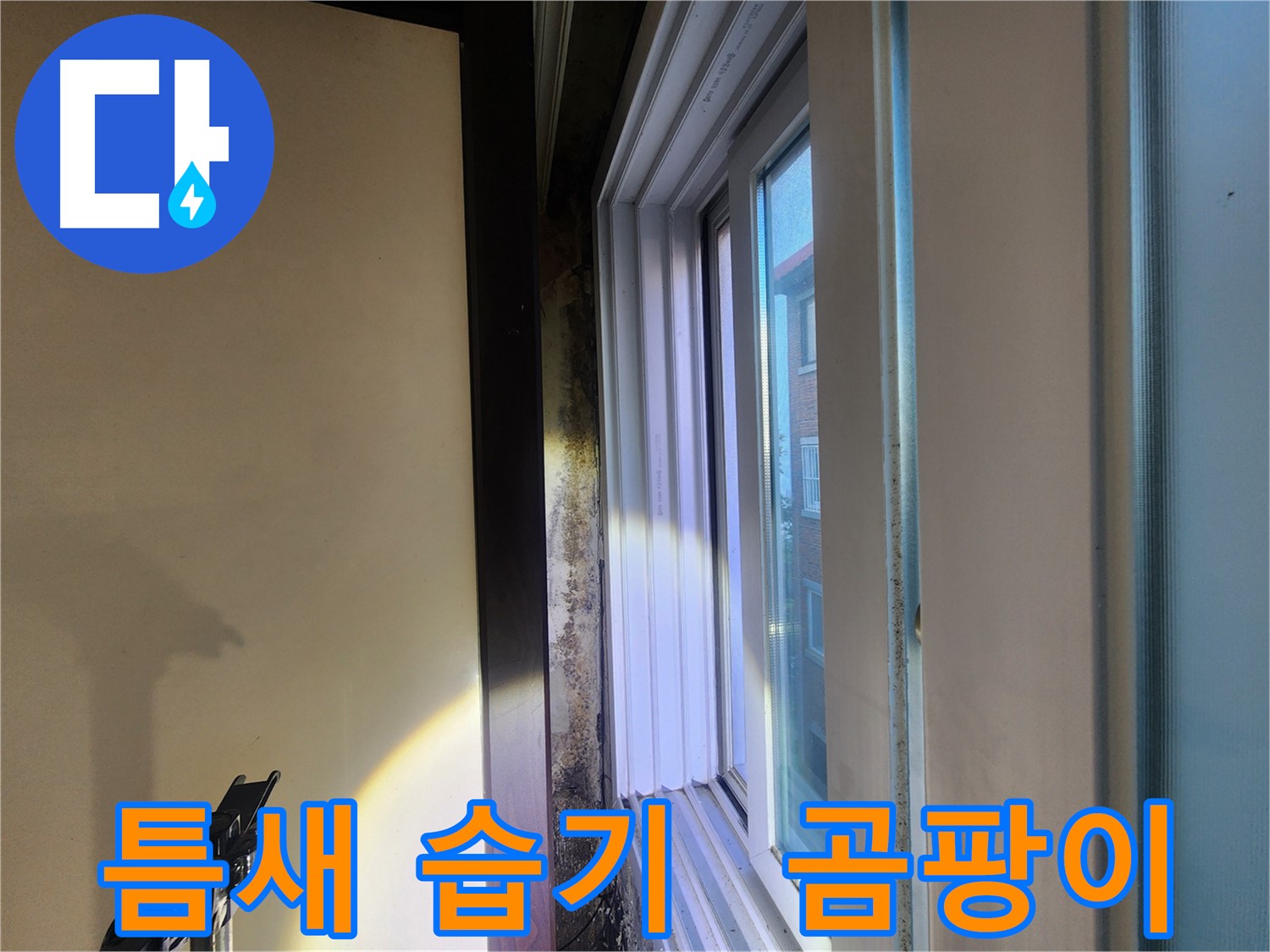 창틀 틈새 습기 및 곰팡이 - 누수 또는 결로 원인 진단 필요