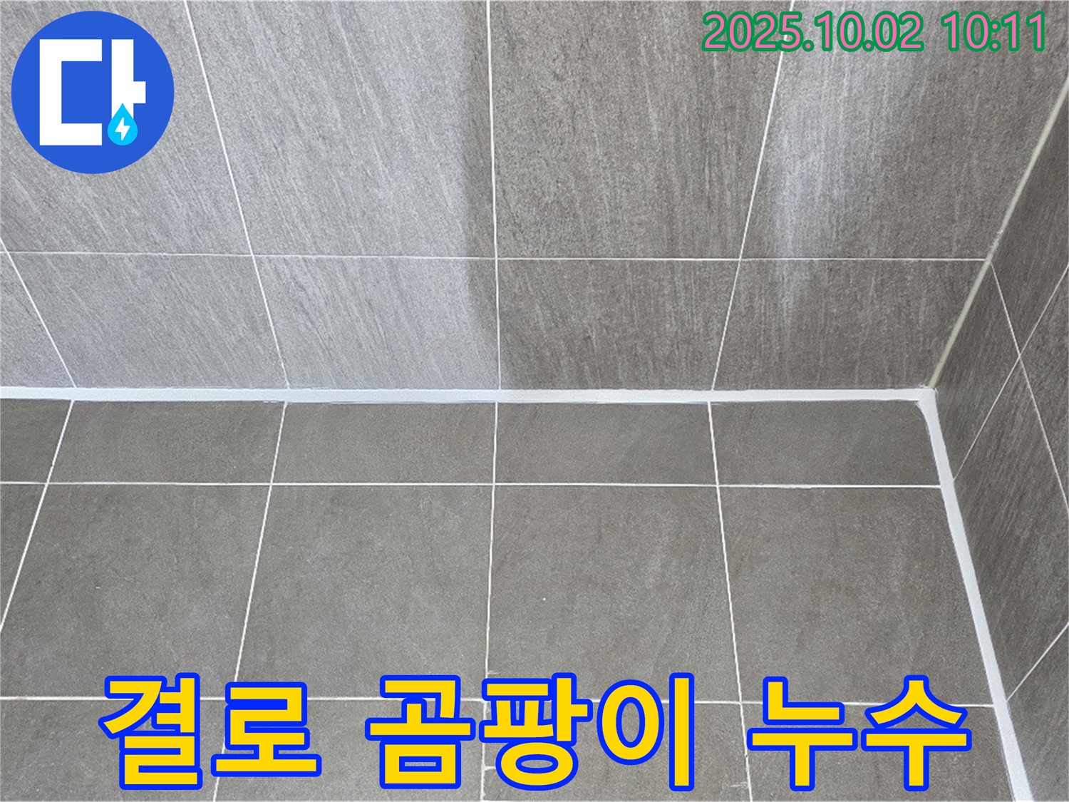 벽지의 곰팡이 - 결로와 누수의 합작품