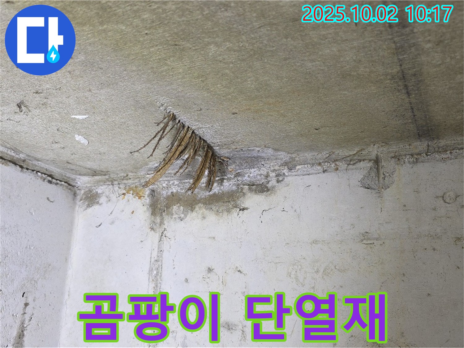 양주 신산리 누수 - 곰팡이로 뒤덮인 천장 단열재, 긴급 복구 작업
