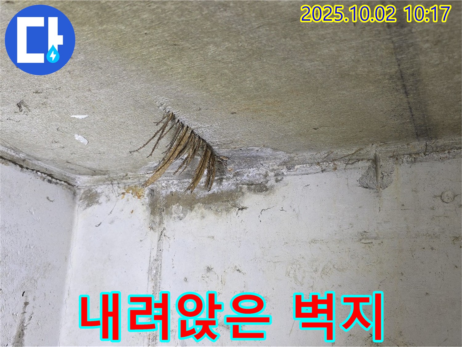 양주 신산리 누수 - 벽지 속 누수, 곰팡이와 함께 내려앉은 벽지