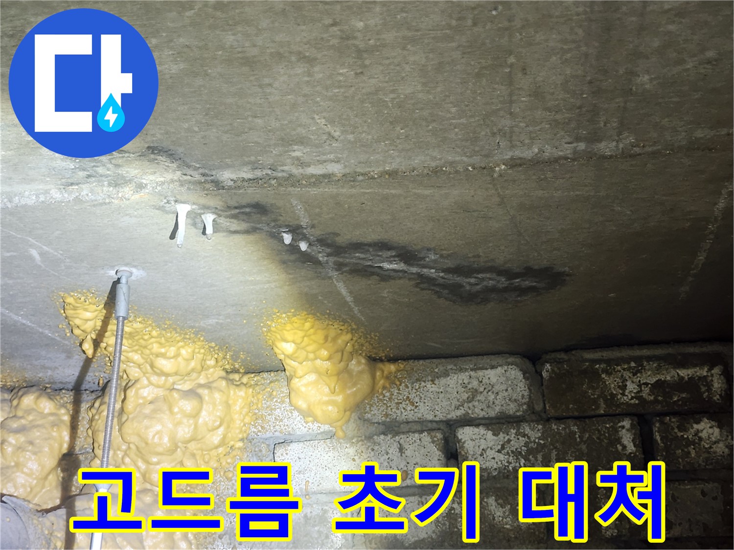영등포 아파트 누수 - 석회 고드름 초기 발견 시 전문가에게 즉시 연락하세요!
