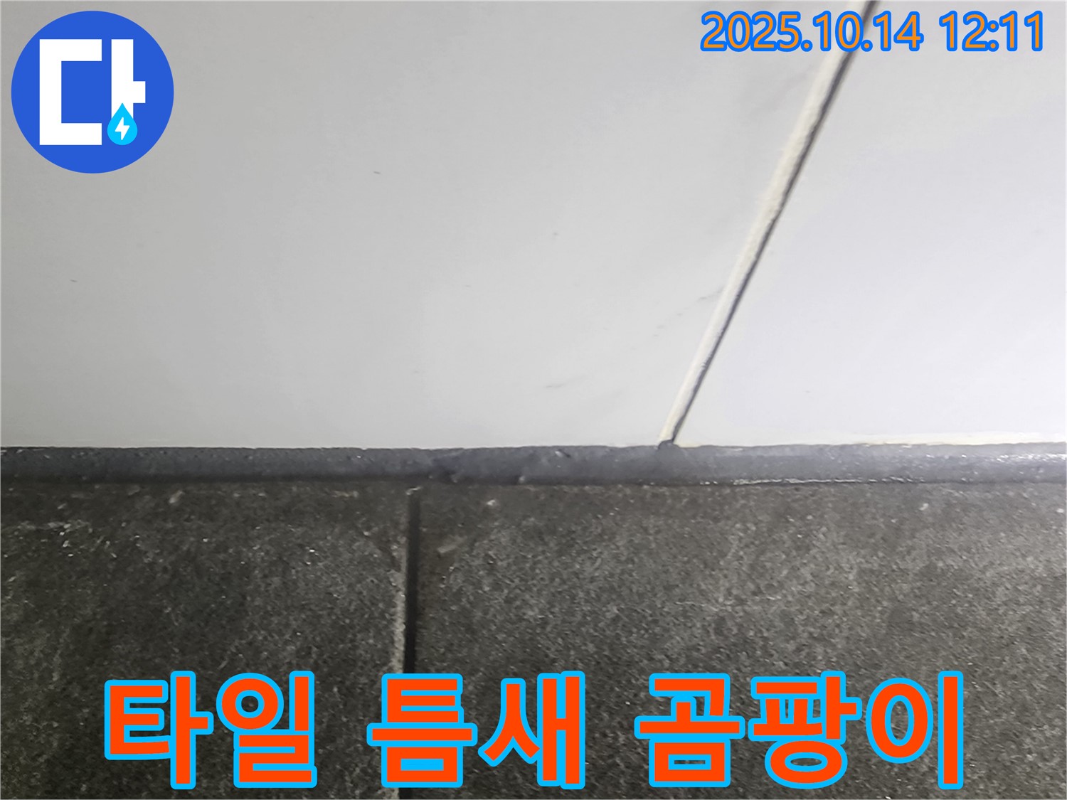 욕실 타일 틈새 곰팡이 발생 - 꼼꼼한 재시공으로 누수 해결