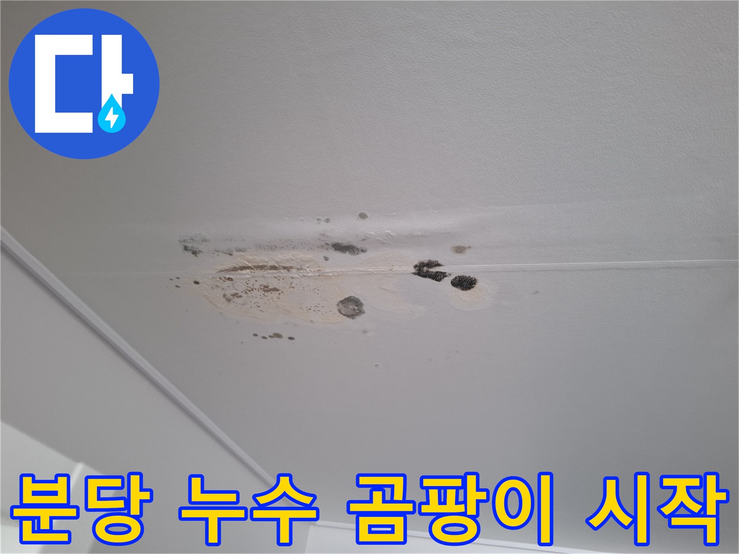 누수 - 곰팡이 시작 단계, 초기 대응 중요!