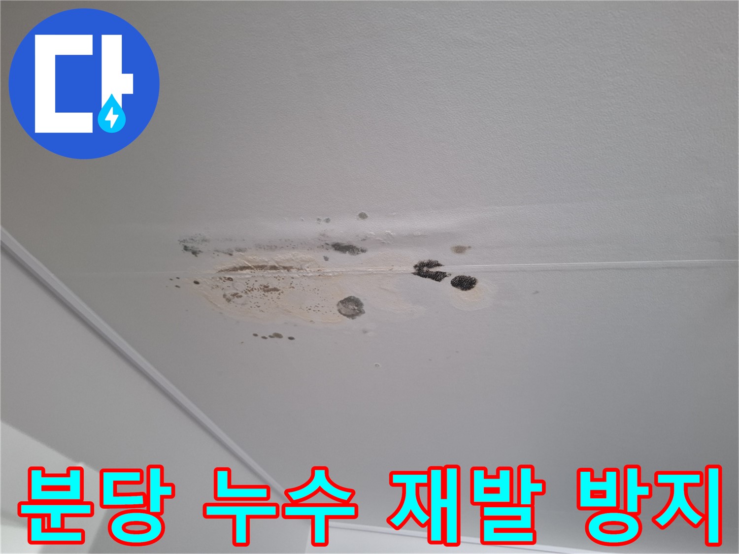 누수 곰팡이 - 완벽 차단, 재발 걱정 없는 시공