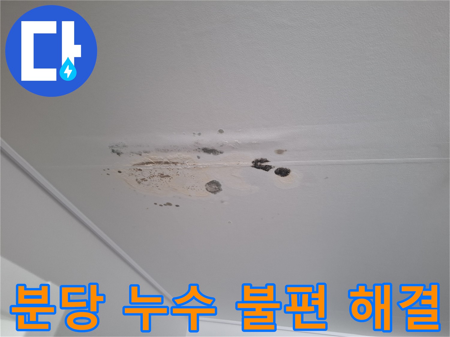 누수 해결 - 고객님의 불편함, 저희가 해결!