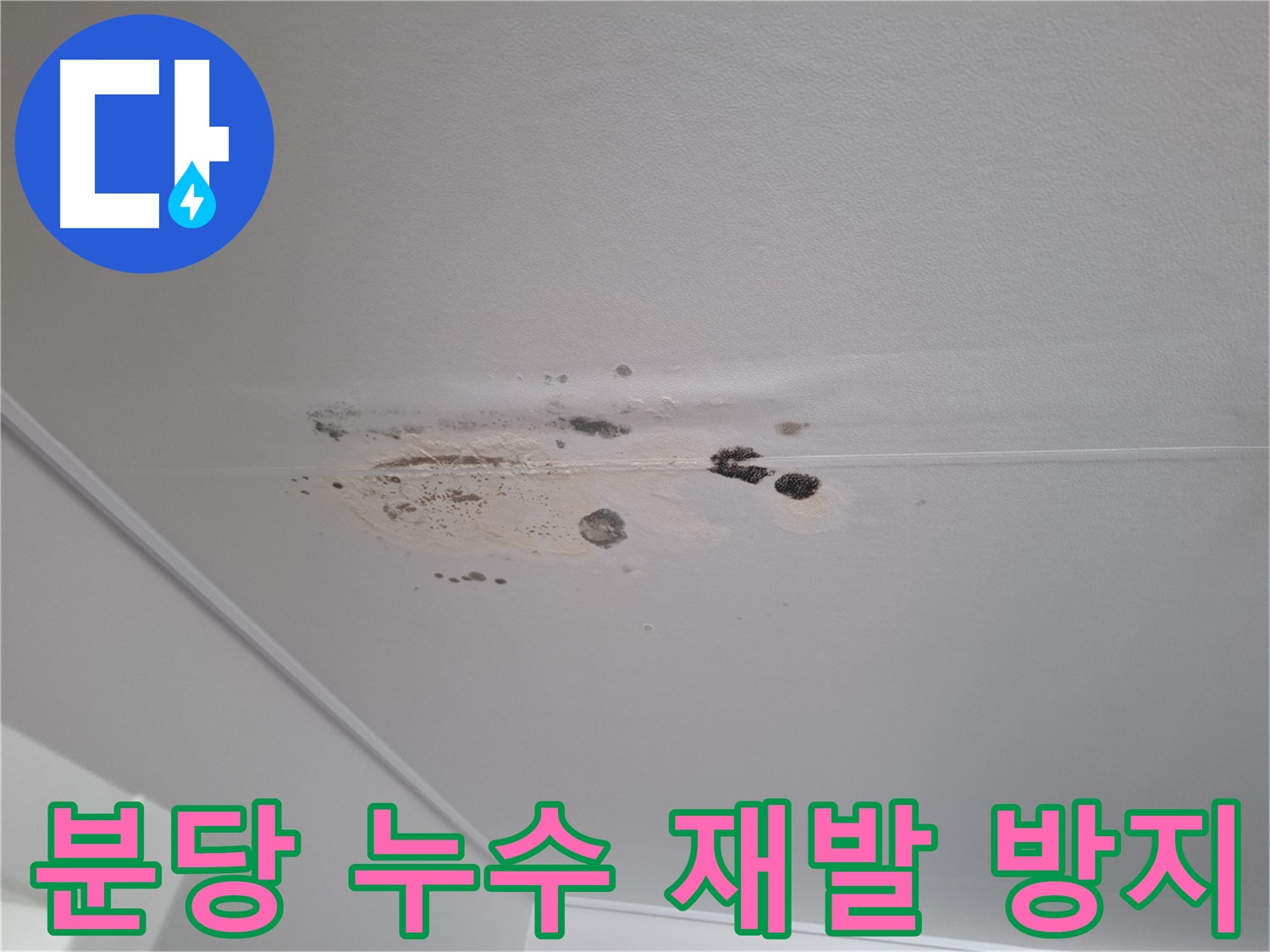 누수 해결 - 완벽 차단, 재발 걱정 없이!