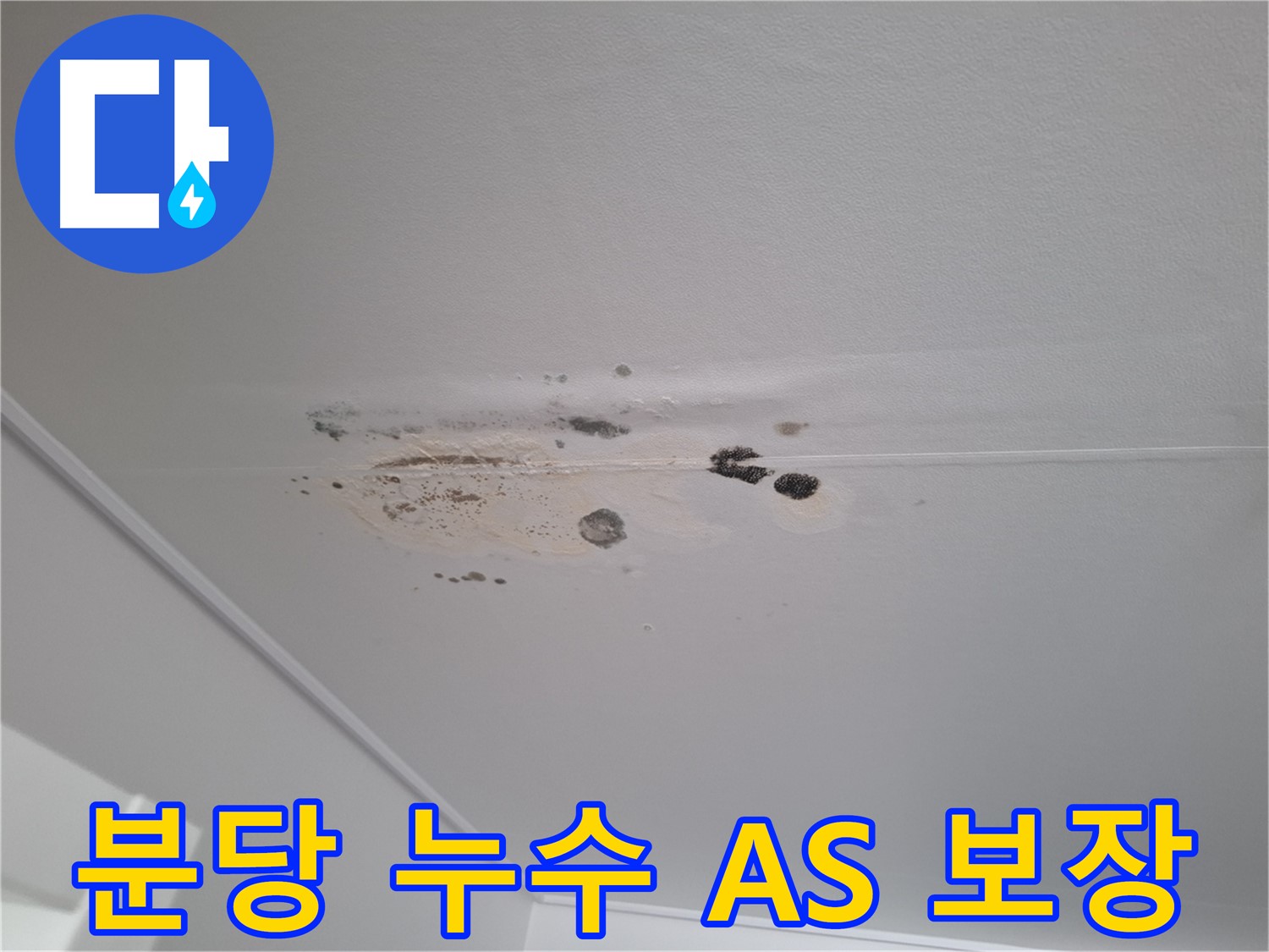 누수 해결 - 완벽 차단, 확실한 AS 보장!