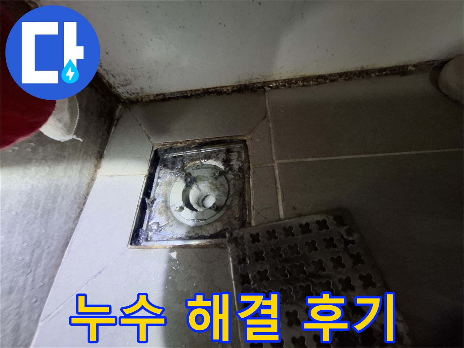 봇들마을 아파트 욕실 배수구 누수 해결 후기 - 고객 만족 100%
