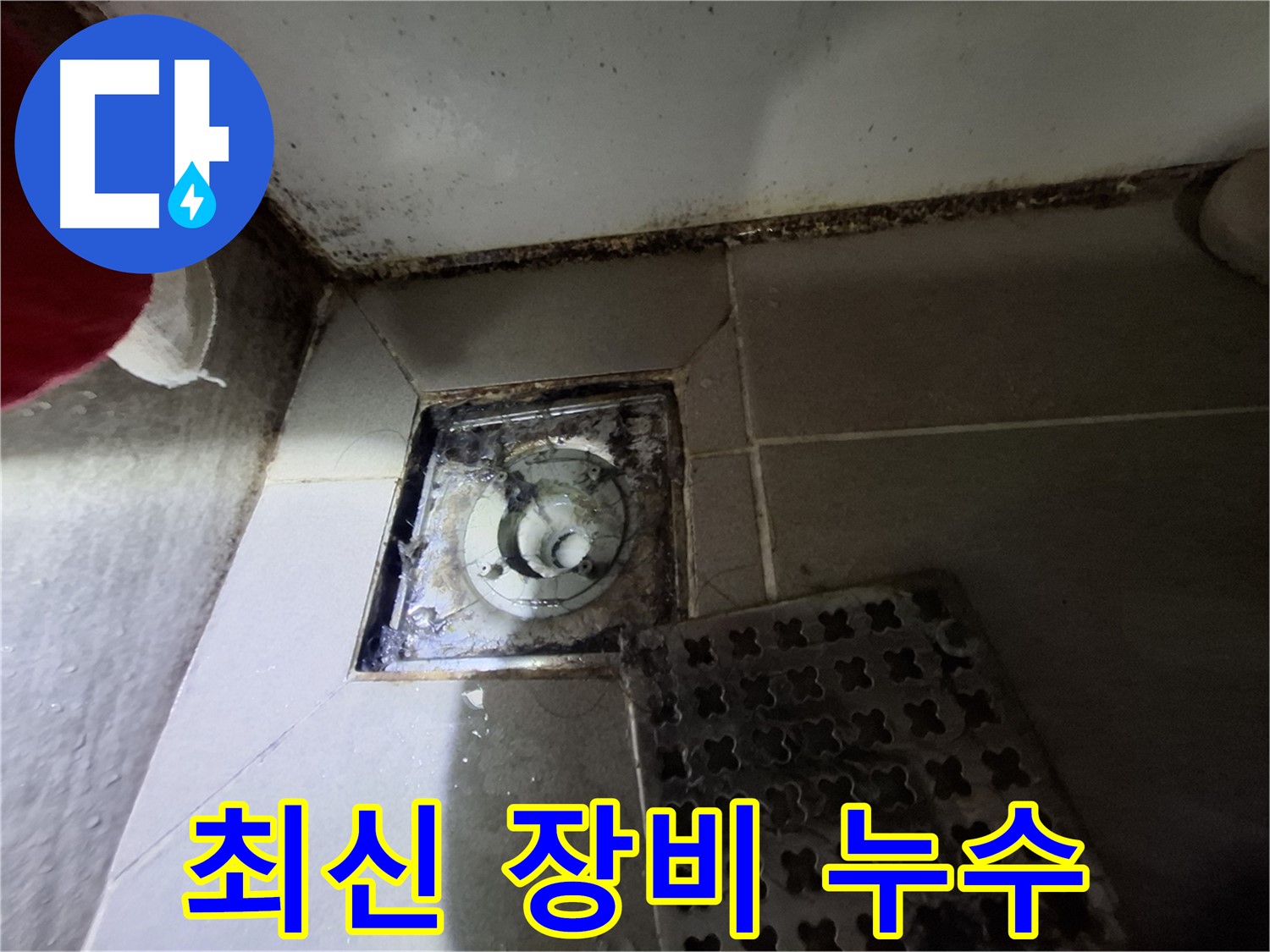 봇들마을 욕실 배수구 누수 - 최신 장비를 사용하여 정확하게 진단