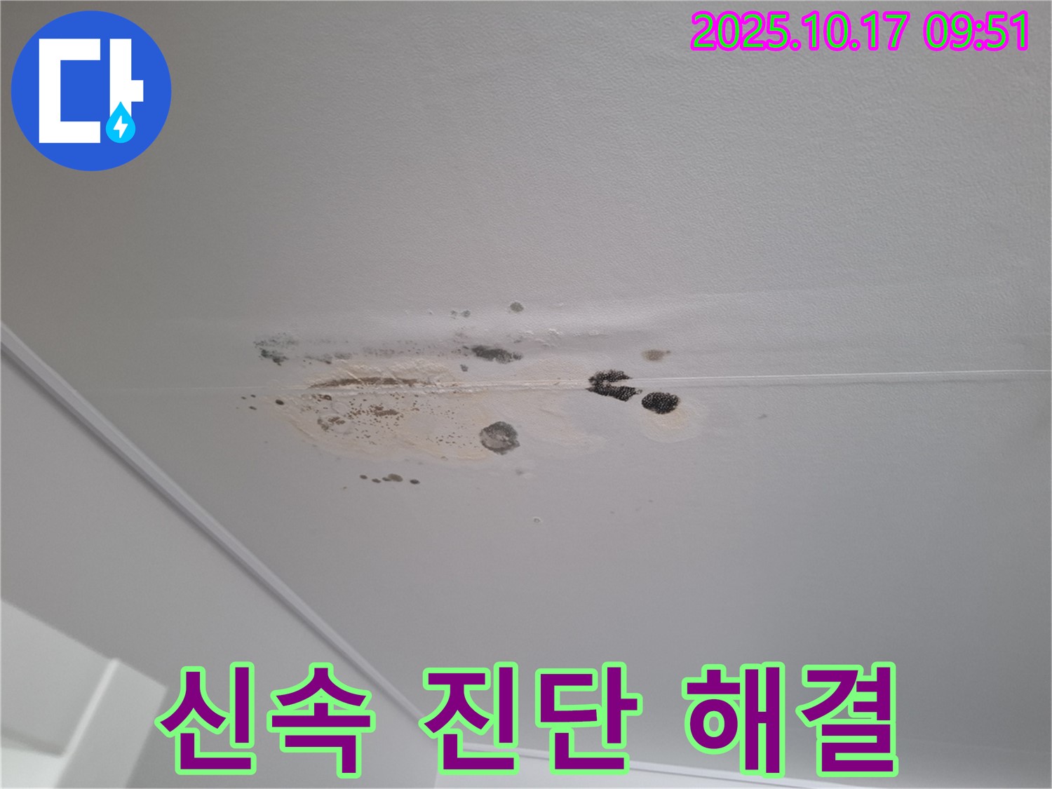 분당 누수 - 곰팡이 얼룩 심한 천장 - 신속 진단과 해결이 중요