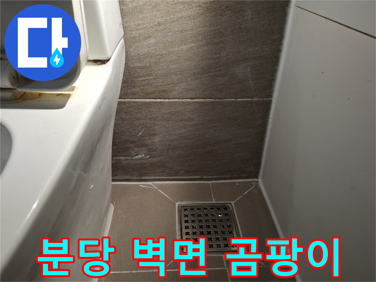 분당 변기 뒤쪽 벽면 곰팡이 - 윗집 누수 의심