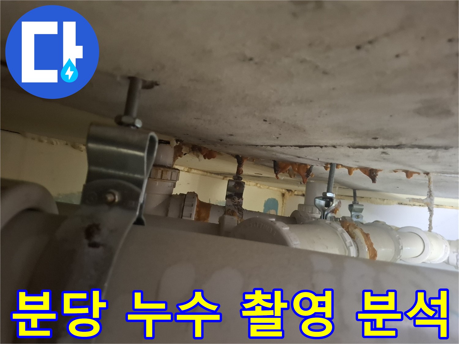 분당 봇들마을 아파트 누수 - 누수 부위 정밀 촬영 및 꼼꼼한 분석