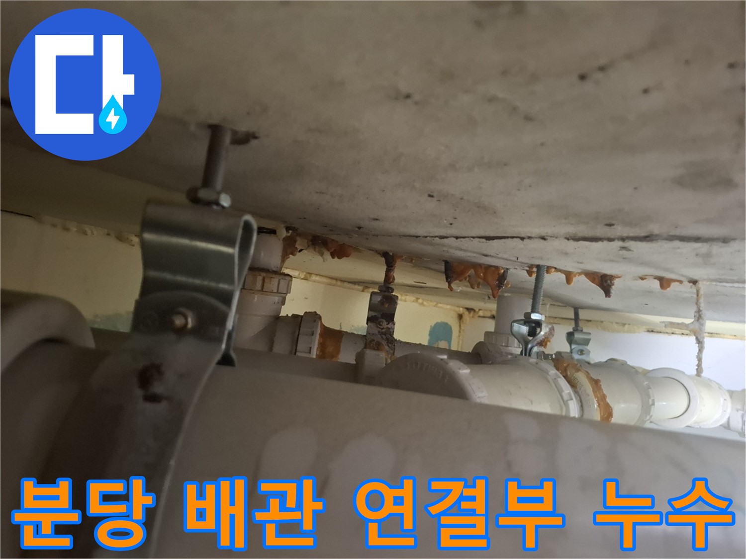 분당 봇들마을 아파트 - 천장 누수 원인, 배관 연결부 문제