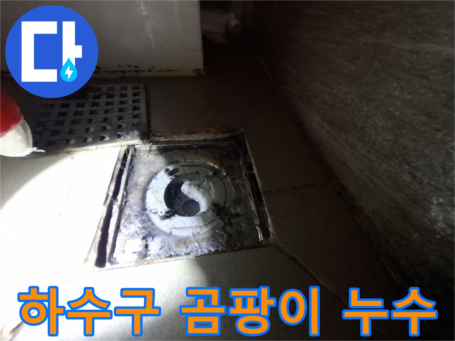 분당 봇들마을 욕실 하수구 주변 곰팡이 - 곰팡이 제거하고 누수까지 해결