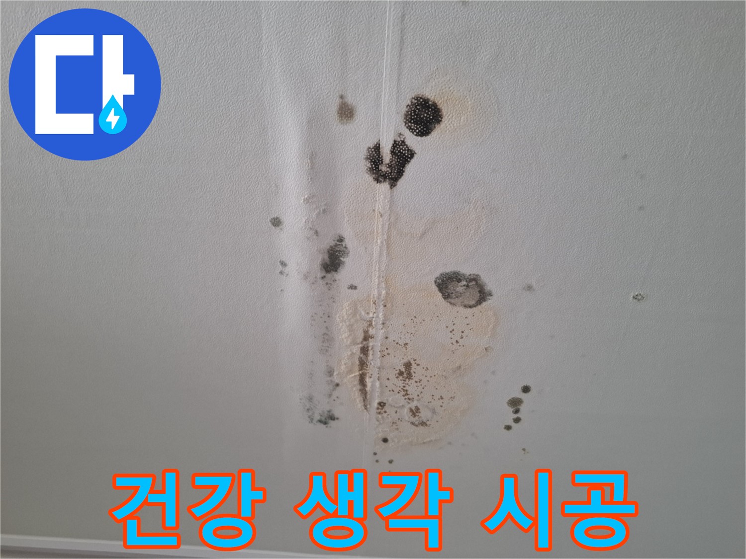 분당 삼평동 누수 - 건강까지 생각하는 친환경 시공으로 곰팡이 문제 해결