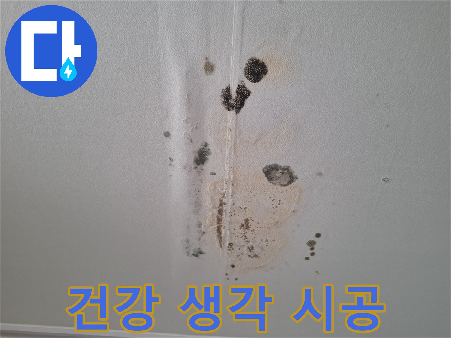 분당 삼평동 누수 - 건강까지 생각하는 친환경 시공으로 곰팡이 문제 해결