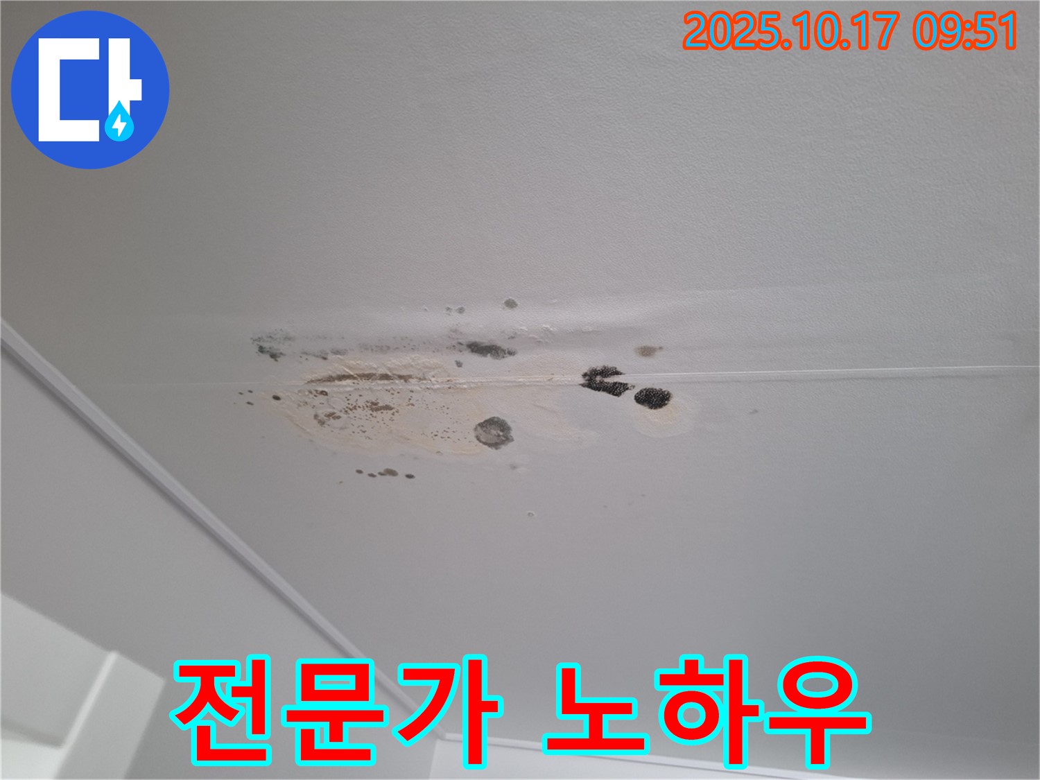 분당 삼평동 누수 - 곰팡이 뒤덮인 천장 - 누수 해결 전문가의 노하우