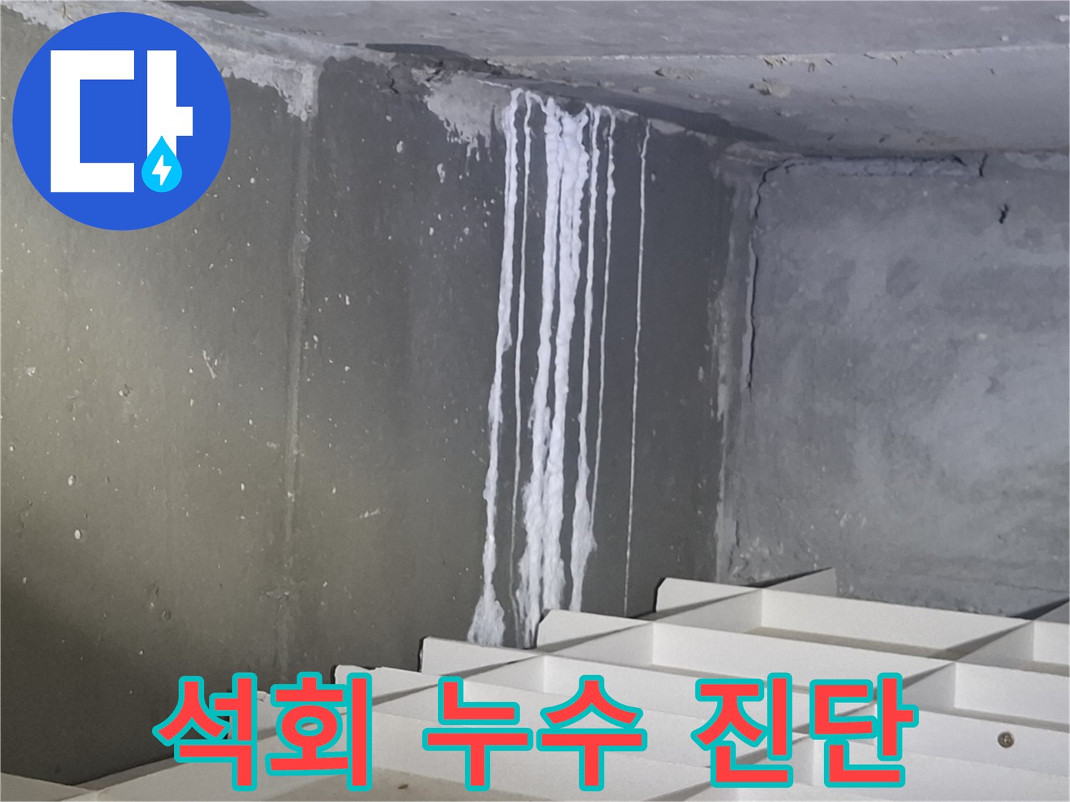분당 삼평동 봇들마을 아파트 - 석회 누수 긴급 진단 현장