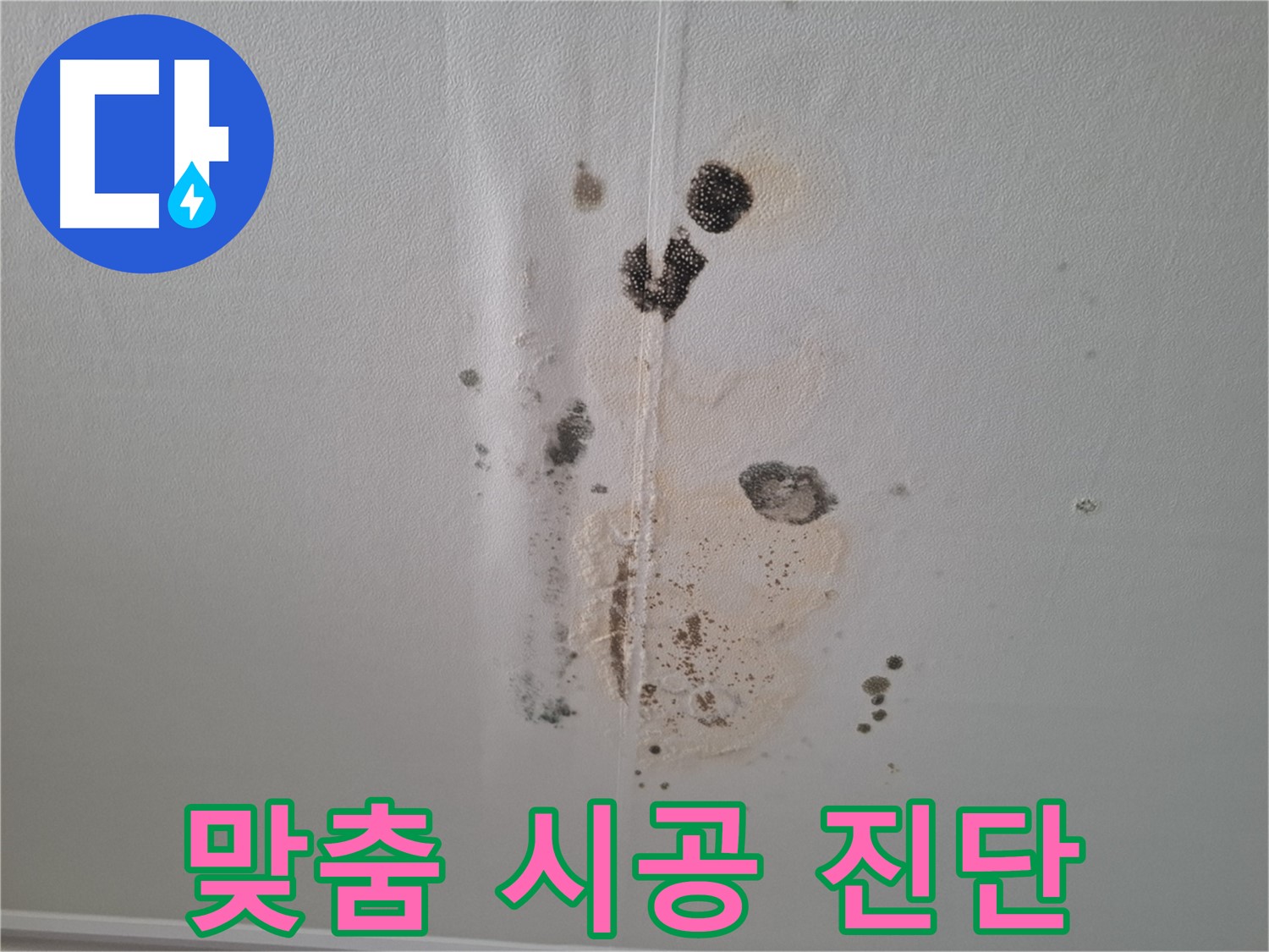 분당 삼평동 아파트 누수 - 곰팡이 문제 완벽한 진단과 맞춤 시공