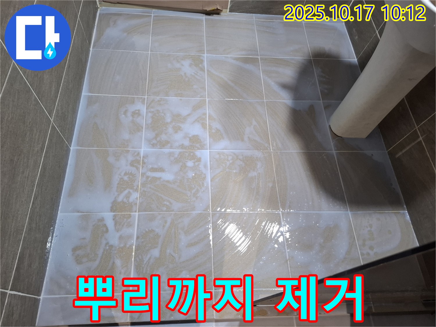 뿌리까지 제거 - 곰팡이 완전 박멸