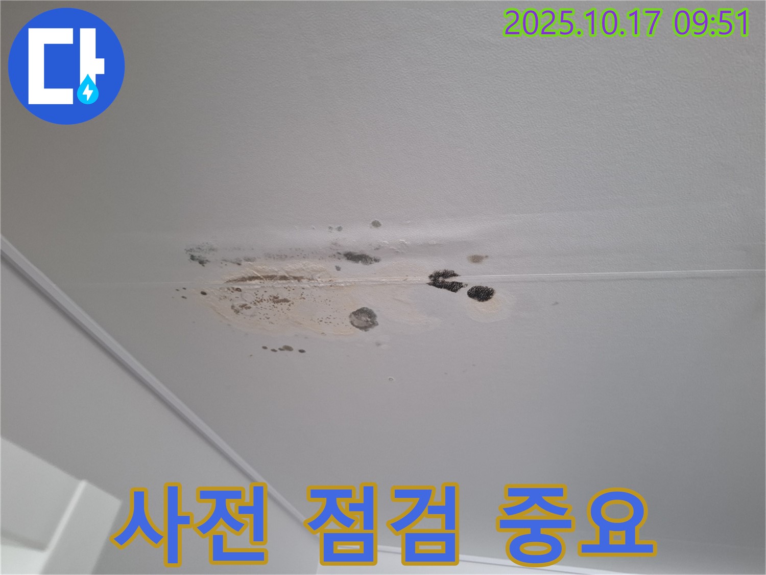 삼평동 누수 - 곰팡이 얼룩 심한 천장 - 사전 점검 중요성 강조