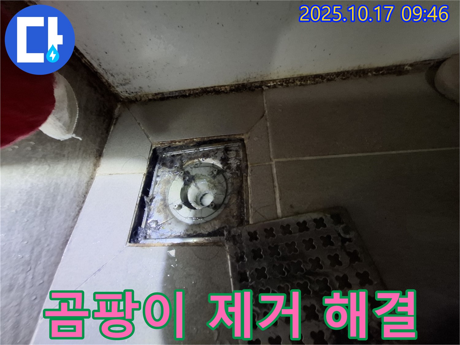 성남 봇들마을 아파트 - 욕실 배수구 곰팡이 제거 - 누수 완벽 해결 - 책임 시공으로 쾌적한 욕실을 만들어 드립니다.