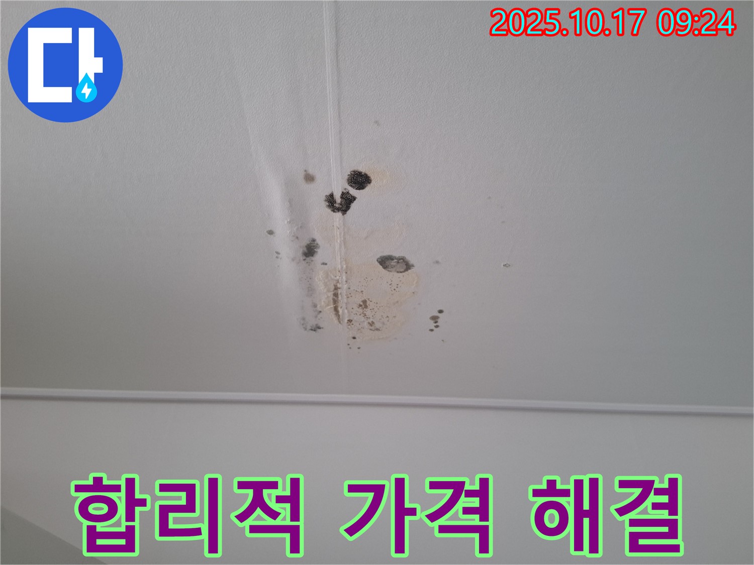 성남 봇들마을 아파트 천장 누수 - 합리적인 가격, 고민 해결