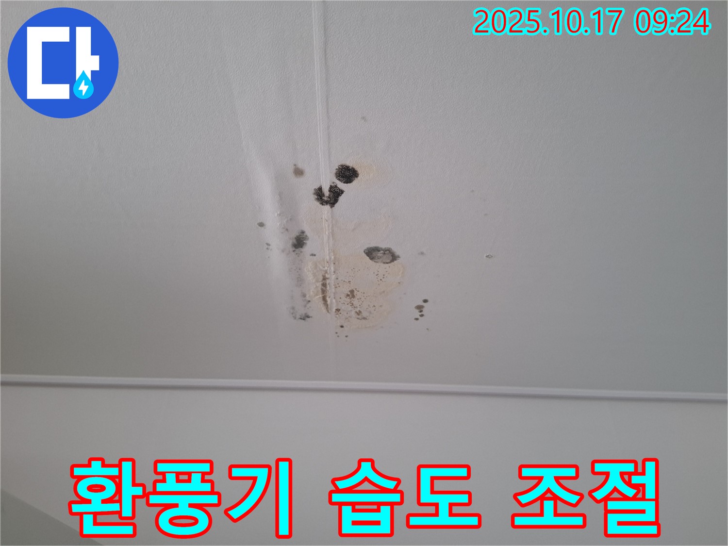 성남 봇들마을 아파트 천장 누수 - 환풍기 설치로 습도 조절