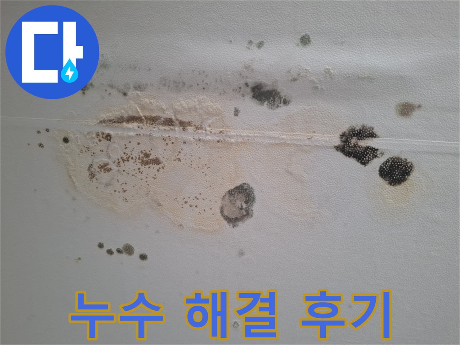 성남 분당 누수 - 곰팡이 문제 완벽 해결 후기