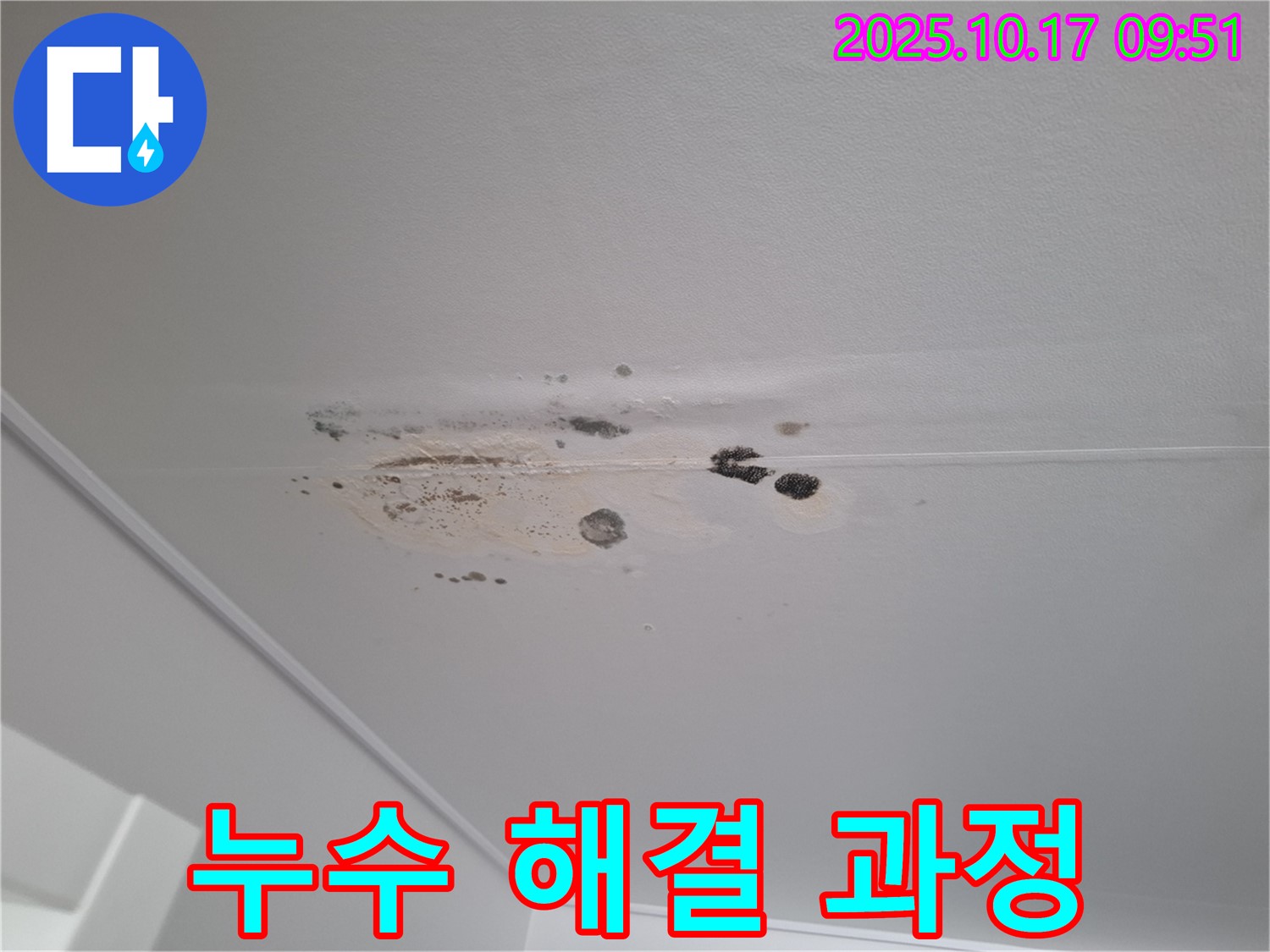 성남 분당 누수 - 곰팡이 천장 누수 문제 해결 과정 상세 공개