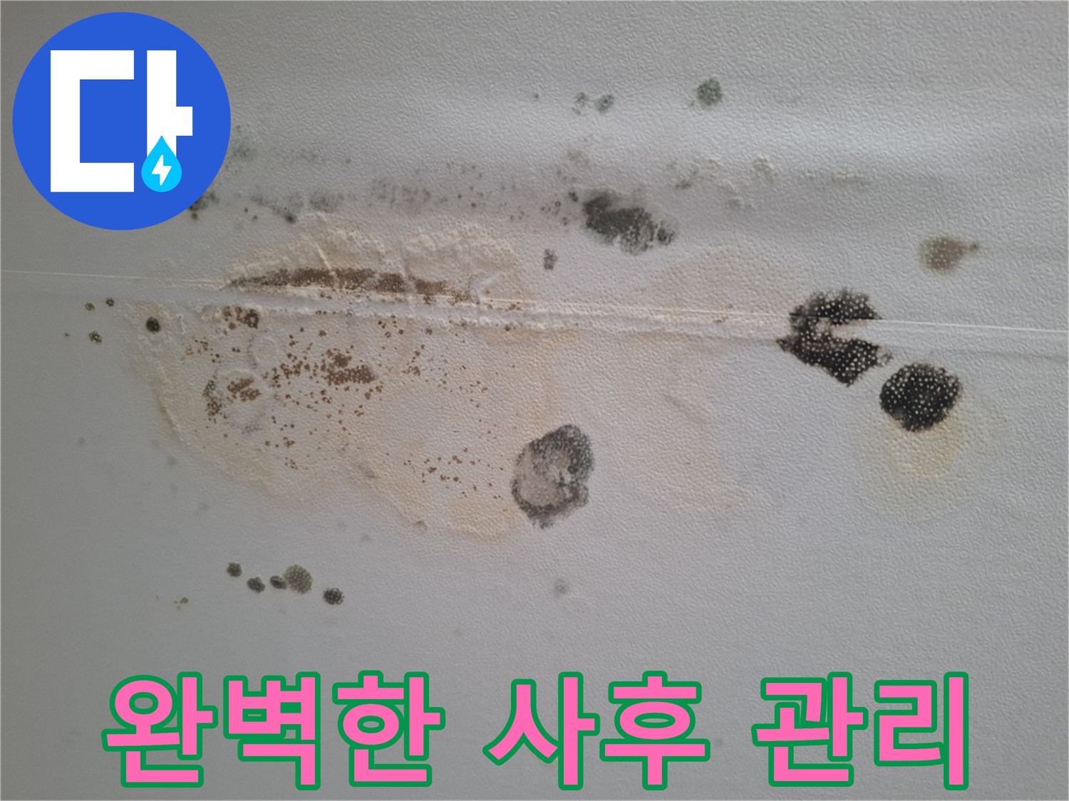 성남 분당 누수 - 봇들마을 천장 곰팡이 제거 후 완벽한 사후 관리 제공
