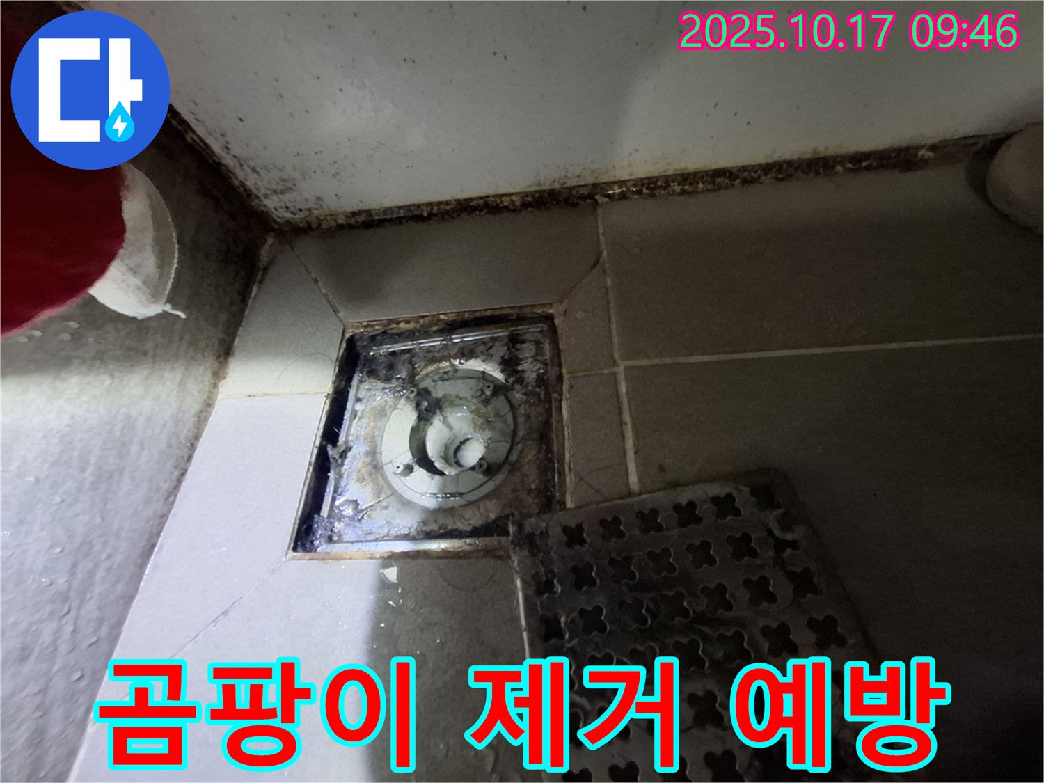 성남 판교 봇들마을 아파트 - 욕실 곰팡이 제거 - 누수 사전 점검 - 맞춤 컨설팅 제공 - 쾌적한 욕실 환경을 위한 최고의 선택.