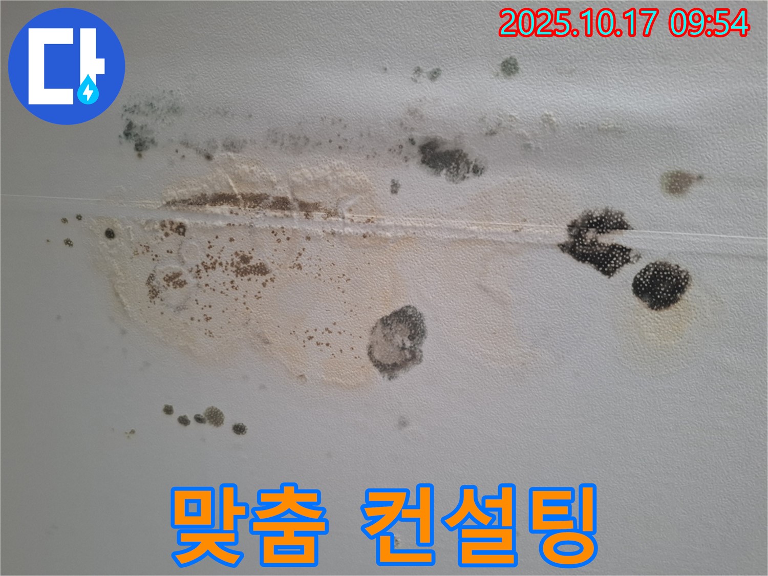 성남시 분당구 봇들마을2단지 아파트 천장 누수 - 곰팡이 문제, 속 시원한 맞춤 컨설팅 제공
