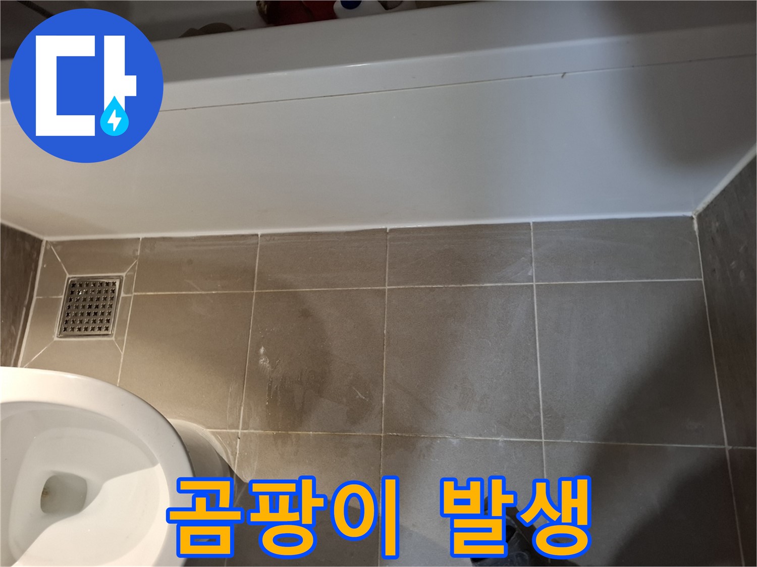 욕실 타일 틈새 곰팡이 발생 - 누수 가능성