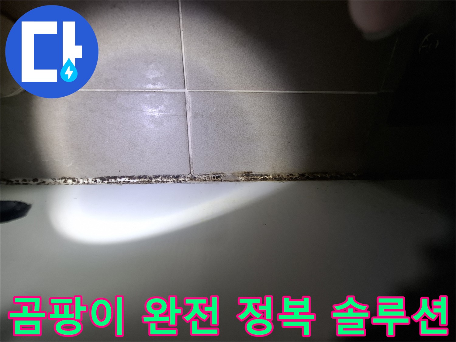 욕조 곰팡이 - 곰팡이 완전 정복을 위한 맞춤 솔루션 제공