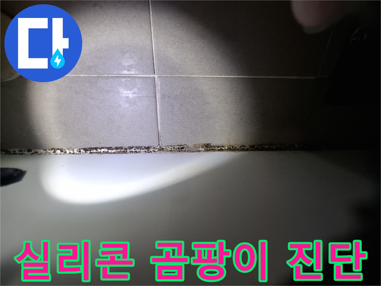 욕조 실리콘 곰팡이 - 초기 발생 - 꼼꼼한 진단