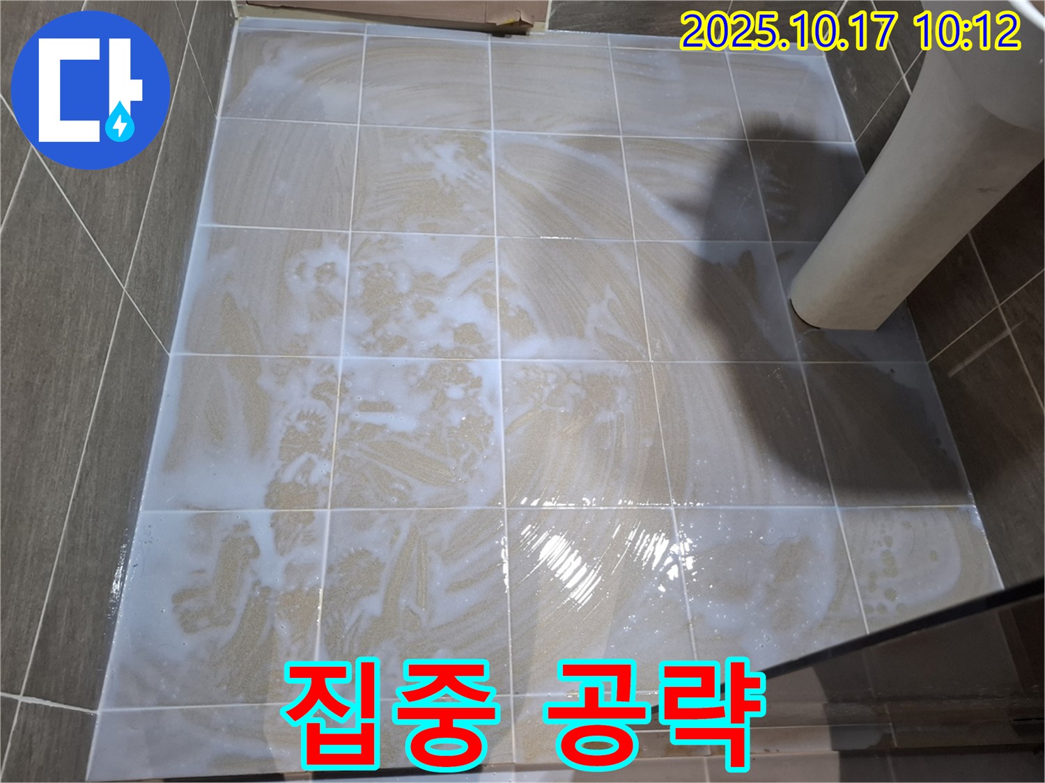 집중 공략 - 곰팡이 제거