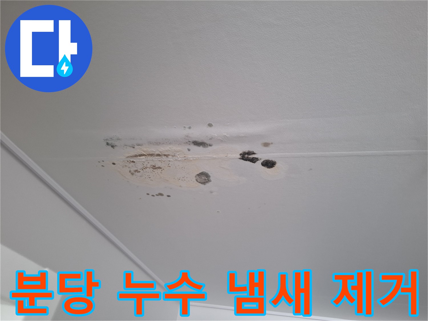 천장 누수 - 곰팡이 냄새 제거, 쾌적한 환경