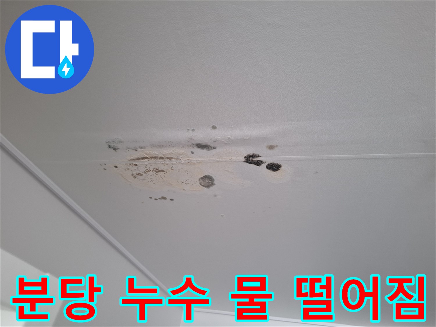 천장 누수 - 물 떨어짐 직전, 긴급 점검 필요!